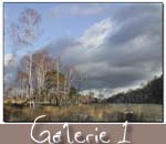 balade_foret_galerie1_1.jpg