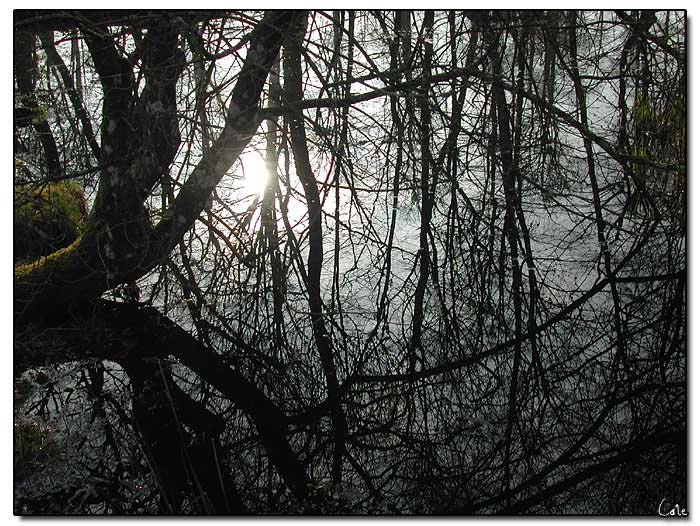 reflets