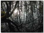 reflets