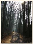 chemin