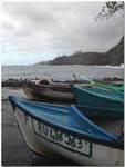 mer29