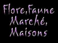 titre_florefaunemaisons1.jpg